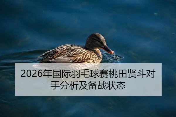 2026年国际羽毛球赛桃田贤斗对手分析及备战状态