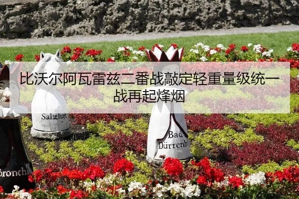 bi-wo-er-a-wa-lei-zi-er-fan-zhan-qiao-ding-qing-zhong-liang-ji-tong-yi-zhan-zai-qi-feng-yan-3-546.jpg