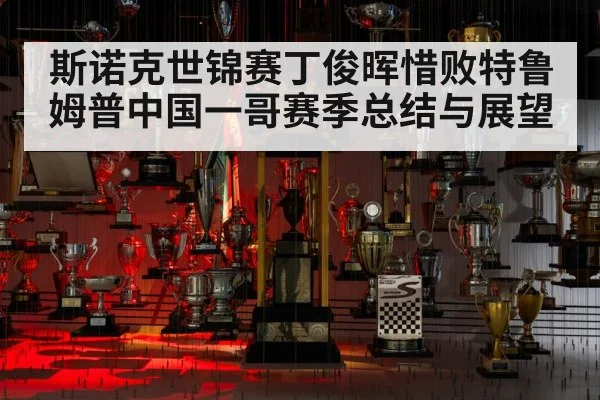 斯诺克世锦赛丁俊晖惜败特鲁姆普中国一哥赛季总结与展望